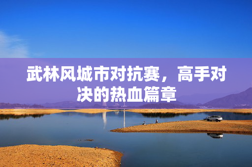 武林风城市对抗赛，高手对决的热血篇章