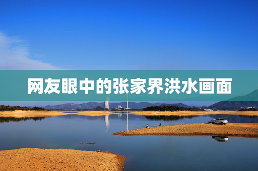 网友眼中的张家界洪水画面
