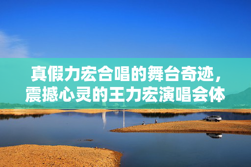 真假力宏合唱的舞台奇迹，震撼心灵的王力宏演唱会体验