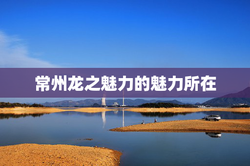 常州龙之魅力的魅力所在