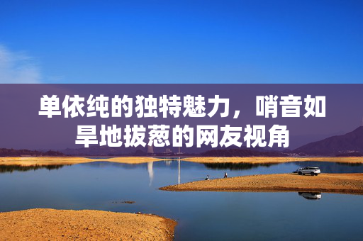 单依纯的独特魅力，哨音如旱地拔葱的网友视角