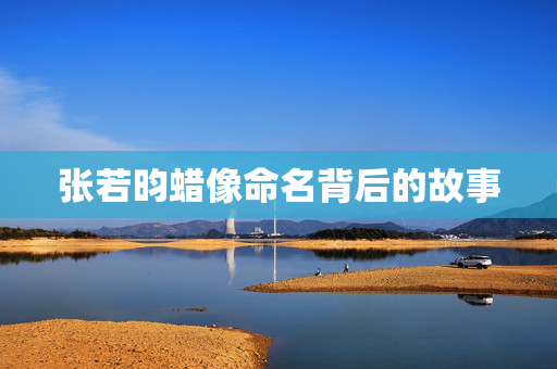 张若昀蜡像命名背后的故事