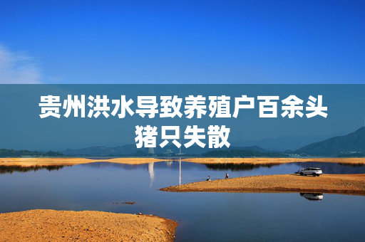 贵州洪水导致养殖户百余头猪只失散