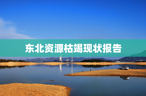 东北资源枯竭现状报告