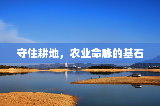 守住耕地，农业命脉的基石
