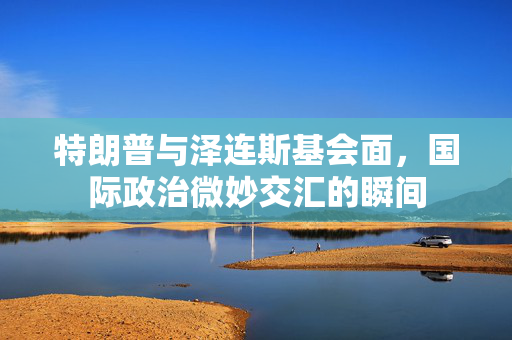 特朗普与泽连斯基会面，国际政治微妙交汇的瞬间