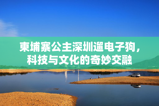 柬埔寨公主深圳遛电子狗，科技与文化的奇妙交融