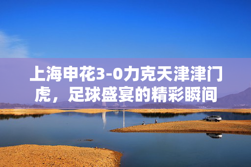 上海申花3-0力克天津津门虎，足球盛宴的精彩瞬间