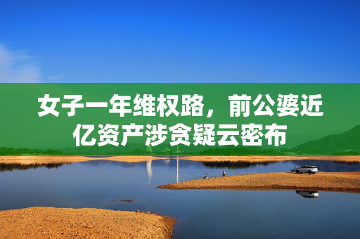 女子一年维权路，前公婆近亿资产涉贪疑云密布