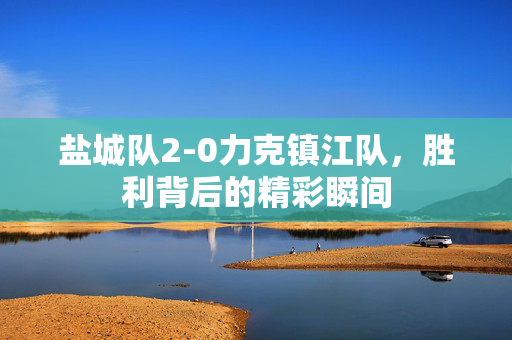 盐城队2-0力克镇江队，胜利背后的精彩瞬间