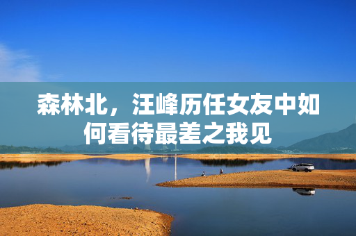 森林北，汪峰历任女友中如何看待最差之我见