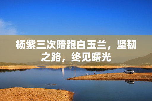 杨紫三次陪跑白玉兰，坚韧之路，终见曙光