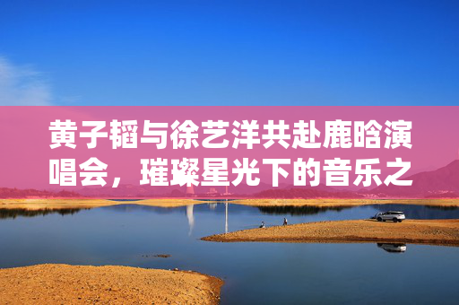 黄子韬与徐艺洋共赴鹿晗演唱会，璀璨星光下的音乐之夜