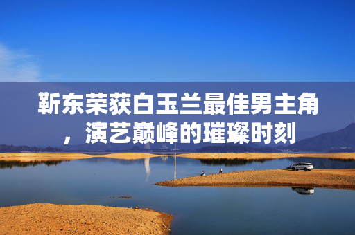靳东荣获白玉兰最佳男主角，演艺巅峰的璀璨时刻