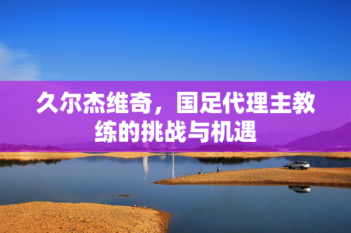 久尔杰维奇，国足代理主教练的挑战与机遇
