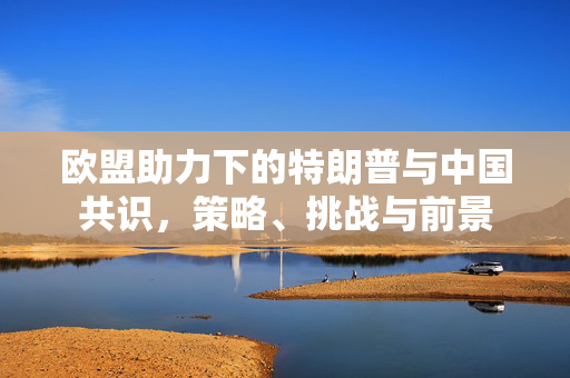 欧盟助力下的特朗普与中国共识，策略、挑战与前景