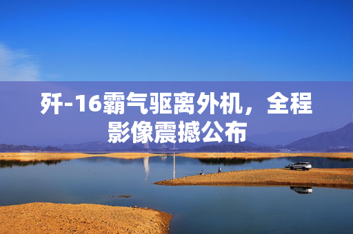 歼-16霸气驱离外机，全程影像震撼公布