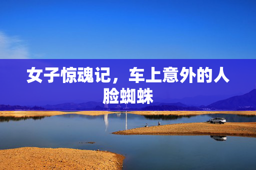 女子惊魂记，车上意外的人脸蜘蛛