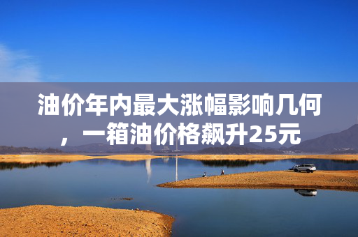 油价年内最大涨幅影响几何，一箱油价格飙升25元