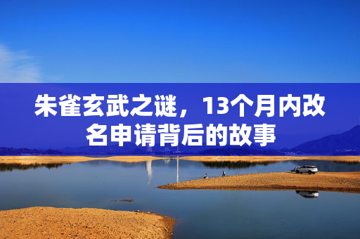 朱雀玄武之谜，13个月内改名申请背后的故事