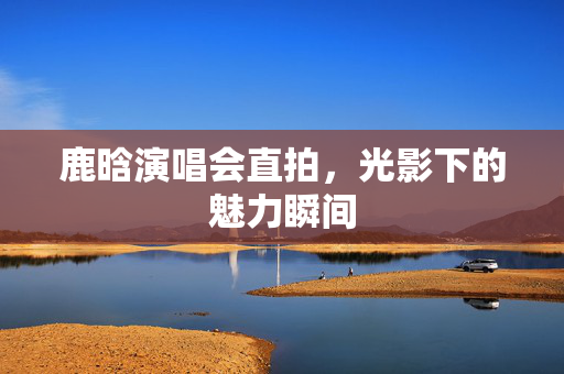 鹿晗演唱会直拍，光影下的魅力瞬间