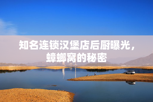 知名连锁汉堡店后厨曝光，蟑螂窝的秘密