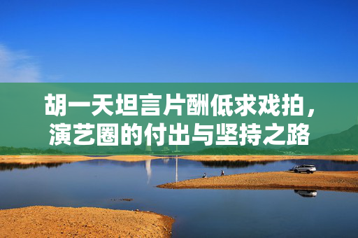 胡一天坦言片酬低求戏拍，演艺圈的付出与坚持之路