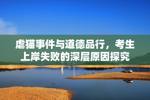 虐猫事件与道德品行，考生上岸失败的深层原因探究