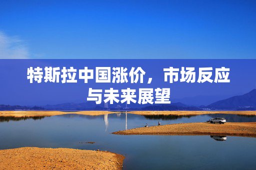 特斯拉中国涨价，市场反应与未来展望