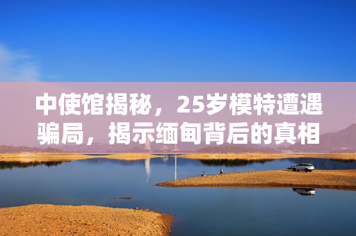 中使馆揭秘，25岁模特遭遇骗局，揭示缅甸背后的真相