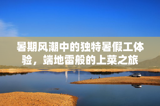 暑期风潮中的独特暑假工体验，端地雷般的上菜之旅