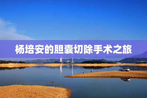杨培安的胆囊切除手术之旅