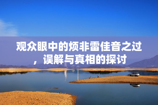 观众眼中的烦非雷佳音之过，误解与真相的探讨