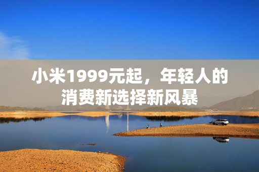 小米1999元起，年轻人的消费新选择新风暴