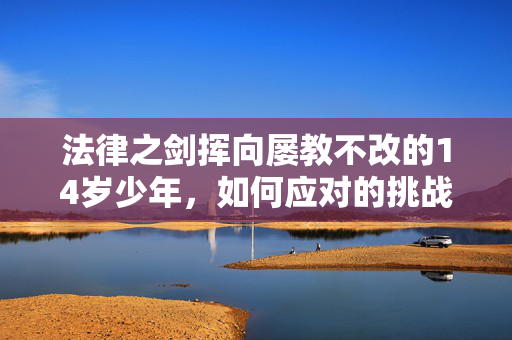 法律之剑挥向屡教不改的14岁少年，如何应对的挑战？