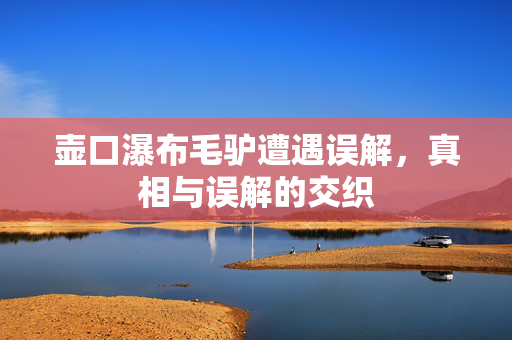 壶口瀑布毛驴遭遇误解，真相与误解的交织