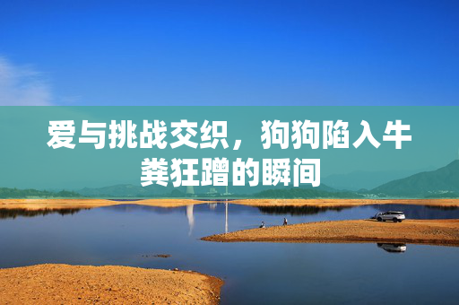 爱与挑战交织，狗狗陷入牛粪狂蹭的瞬间