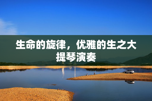 生命的旋律，优雅的生之大提琴演奏