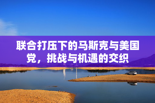 联合打压下的马斯克与美国党，挑战与机遇的交织
