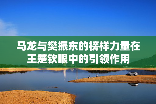 马龙与樊振东的榜样力量在王楚钦眼中的引领作用