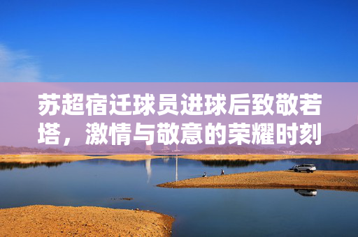 苏超宿迁球员进球后致敬若塔，激情与敬意的荣耀时刻