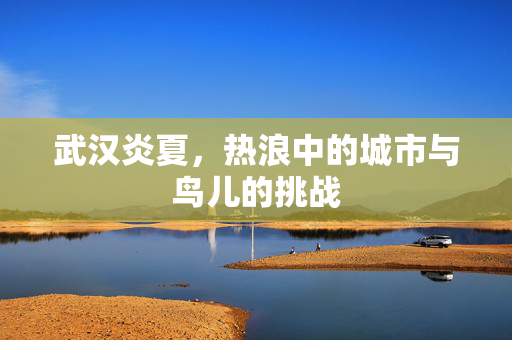 武汉炎夏，热浪中的城市与鸟儿的挑战