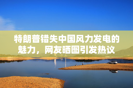 特朗普错失中国风力发电的魅力，网友晒图引发热议