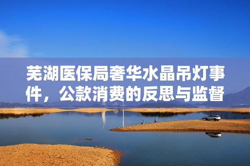 芜湖医保局奢华水晶吊灯事件，公款消费的反思与监督
