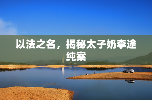 以法之名，揭秘太子奶李途纯案