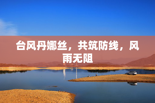 台风丹娜丝，共筑防线，风雨无阻