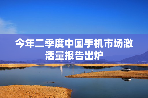 今年二季度中国手机市场激活量报告出炉