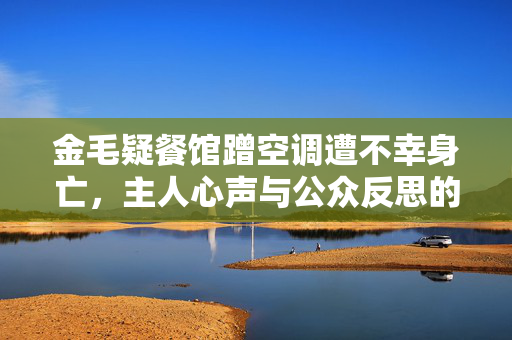 金毛疑餐馆蹭空调遭不幸身亡，主人心声与公众反思的交织