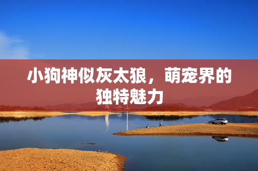 小狗神似灰太狼，萌宠界的独特魅力