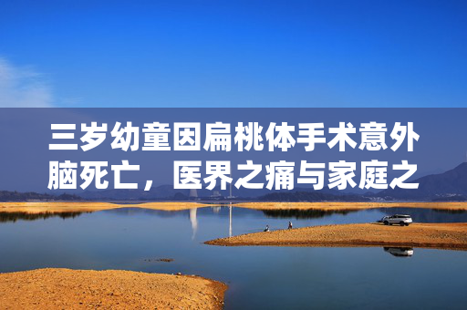 三岁幼童因扁桃体手术意外脑死亡，医界之痛与家庭之殇
